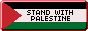 Stand with palestine over a palestine flag